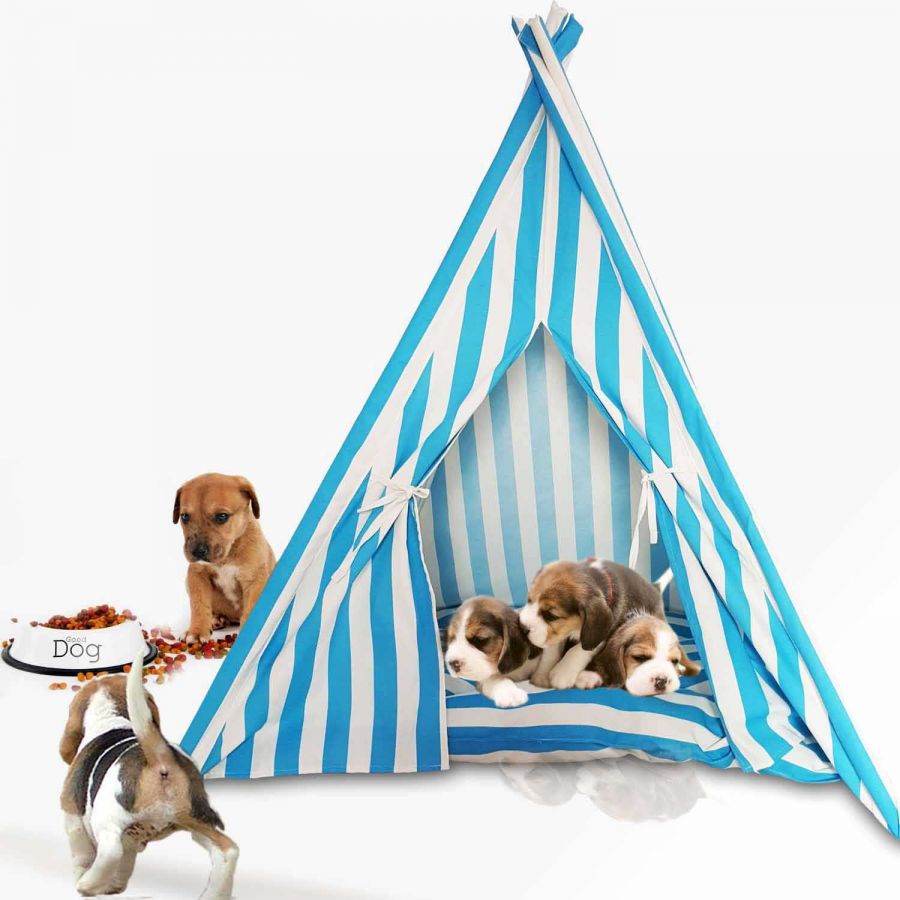 Svava Kedi Köpek Çadırı - Küçük Irk Köpek Yatağı (Turkuaz Beyaz)